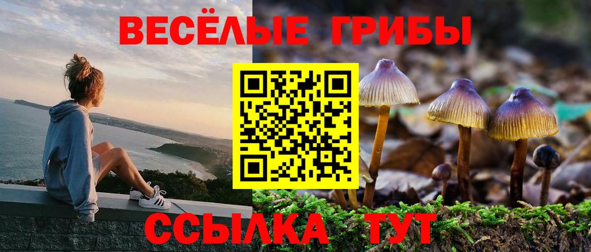 Галлюциногенные грибы ЛСД Карталы