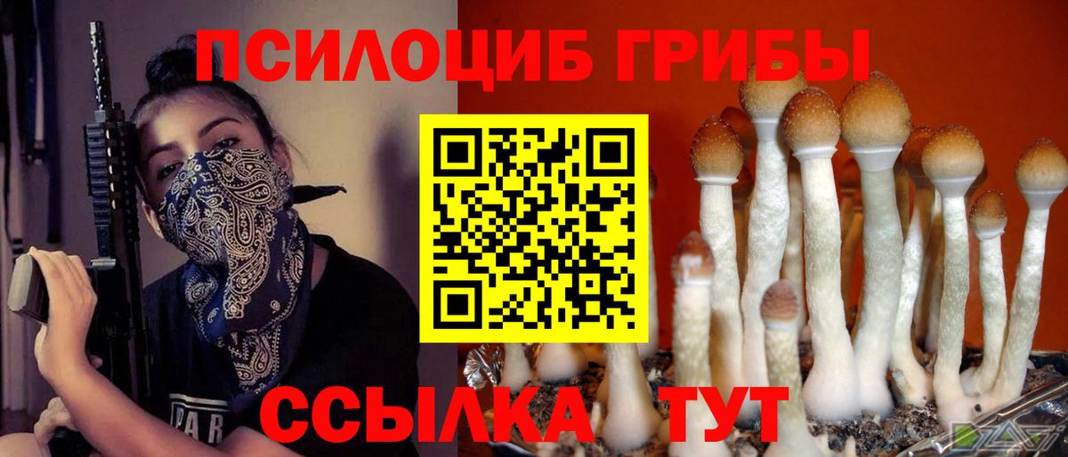 Псилоцибиновые грибы мухоморы  Вход с VPN  Галлюциногенные грибы ЛСД  Карталы 